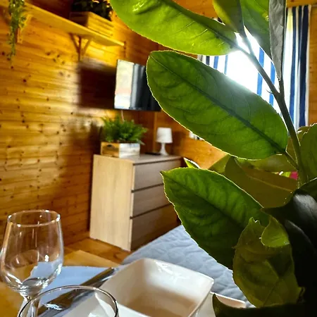 Przystan Plaza * ミコシェボ