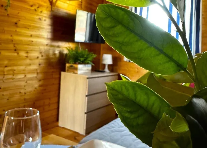 Przystan Plaza * Mikoszewo